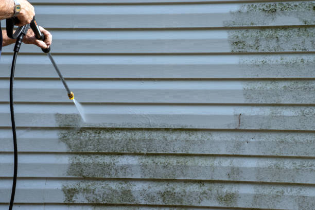 Best Storm Damage Siding Repair  in Carbonville, UT
