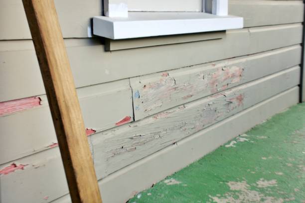 Best Engineered Wood Siding  in Carbonville, UT